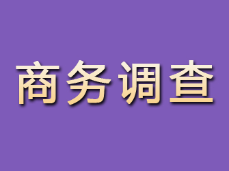 永川商务调查